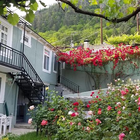 Guest House Green Rose Borjomi Exteriör bild