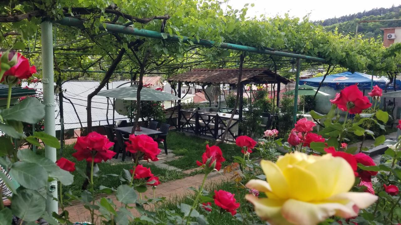 Guest House Green Rose Borjomi Exteriör bild