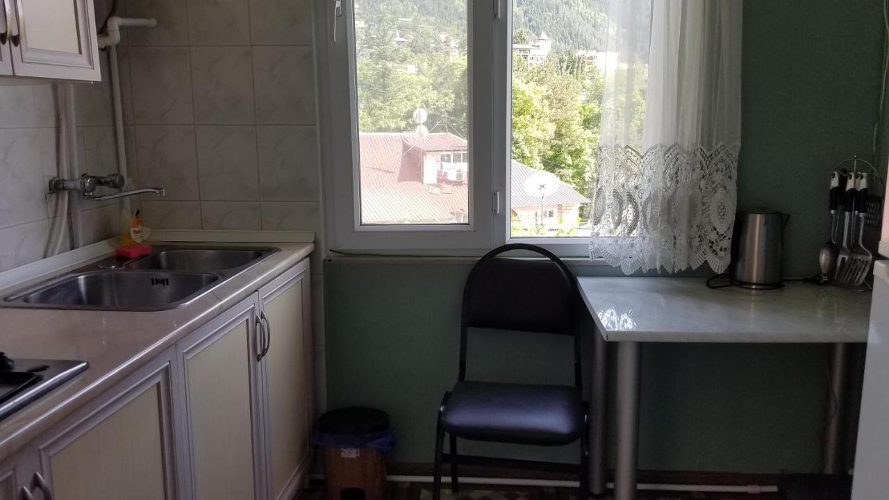 Guest House Green Rose Borjomi Exteriör bild