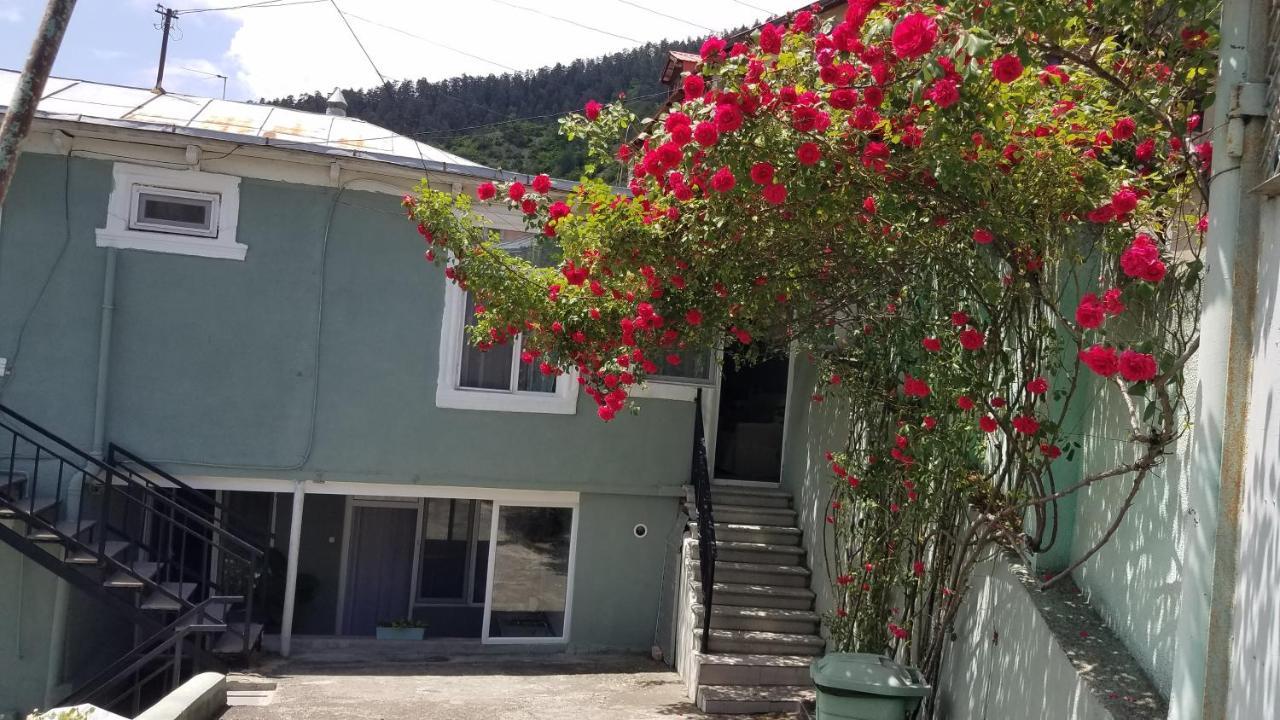 Guest House Green Rose Borjomi Exteriör bild
