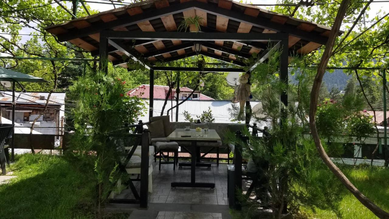 Guest House Green Rose Borjomi Exteriör bild